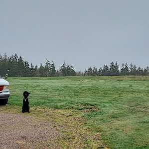 Group Campsite: Century Farm Field Camping