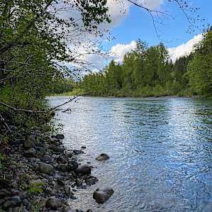 Forested with River Access/Firepit
