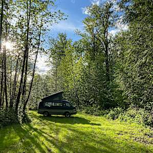 Forested with River Access/Firepit