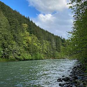 Forested with River Access/Firepit