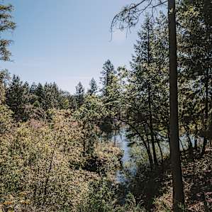 View of the pond from the front porch