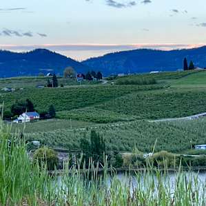 Four Lakes Winery-Vineyard-Orchard