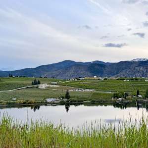 Four Lakes Winery-Vineyard-Orchard