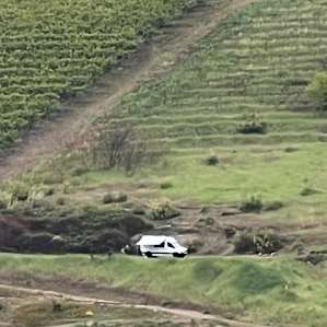 Four Lakes Winery-Vineyard-Orchard