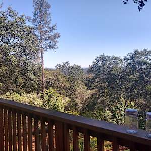 The Love Shack Treehouse