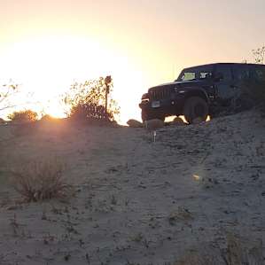 Hilltop Glamping with Joshua Trees