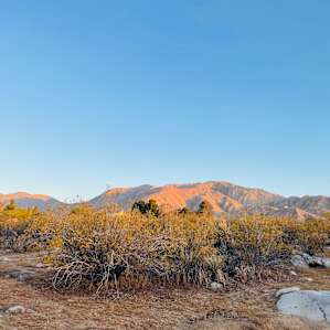 Our camping site