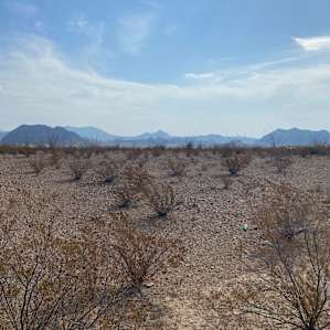 Terlingua is breathtakingly beautiful in the morning light.