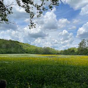 One Earth Collaborative Sanctuary