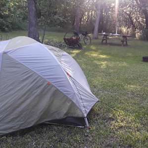 Fangthorn Forest wooded campsite