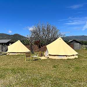 Ramblin Rose Ranch