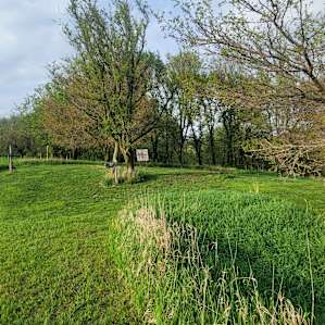 Camp Carlow