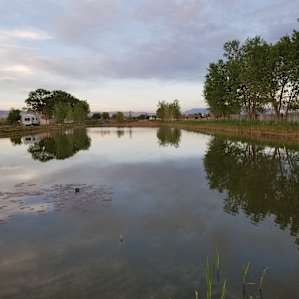 Fruita By The Lake