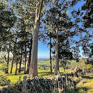Mount Roland Retreat