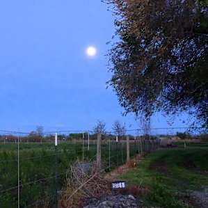 Ranching and Relaxing