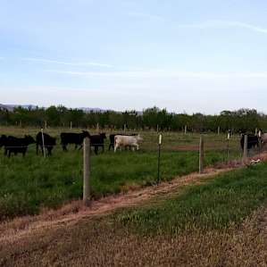 Ranching and Relaxing