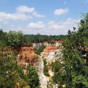 Our visit to Providence Canyon