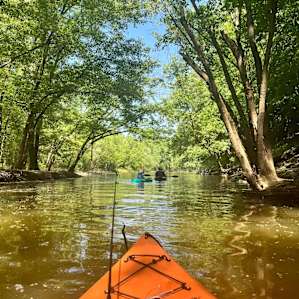 Kayaking near the campsite in the cove