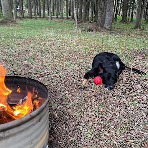Quick nap by the fire. Exhausted from a day of play lol
