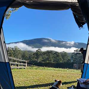 Mountain View Oak Tree Campsites