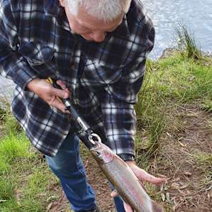 45 cm trout