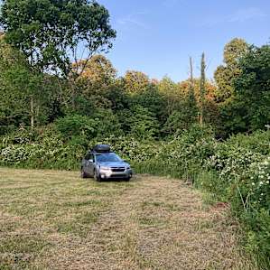 Field & Forest on Prayer Mountain