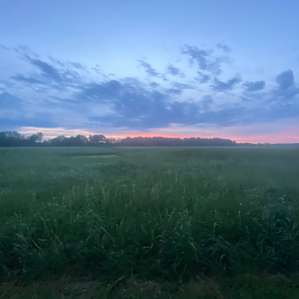 Meadow Camping