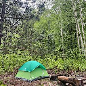 Camp 437 in the Sturgeon Valley