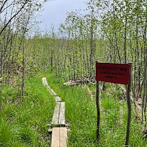 Camp 437 in the Sturgeon Valley