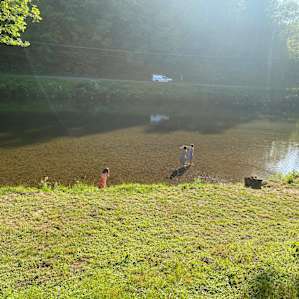 Rustys Roost River Camp Toe River🐔