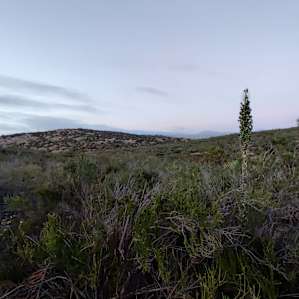 VALLEYVIEW CAMP AREA