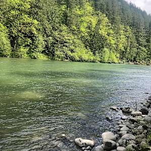 Forested with River Access/Firepit