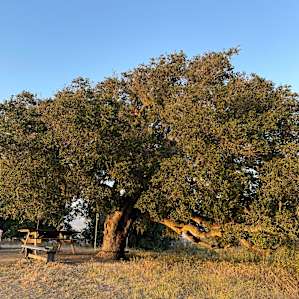 Valley View Farm Campsite - #3