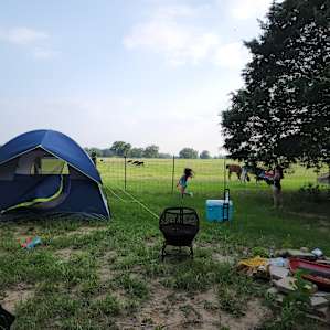 Llamaland Tent Camping