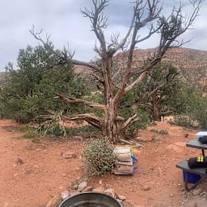 Water Canyon Cliffside Campsite