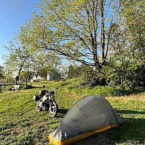 Camp Carlow