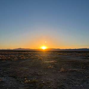 Desert OASIS. Beautiful Refreshing