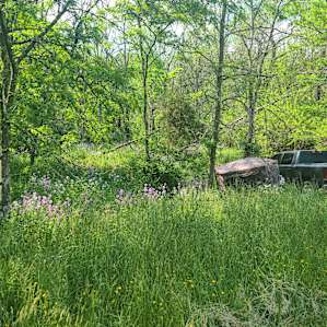 Now can you see our tent! Ha!! (The hunting tent was already present)