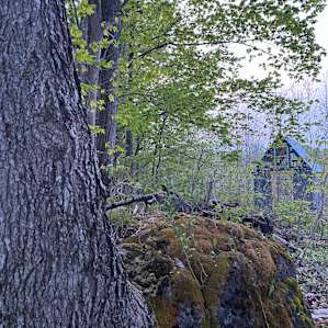 Modern Minimalist Bunkie