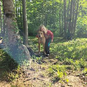 My dog made a best friend with neighboring campers.