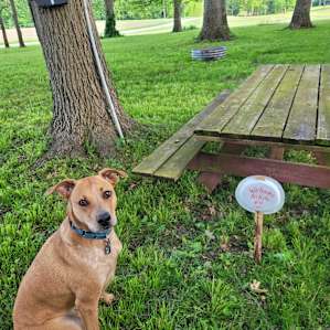 Camp site was clearly labeled indicating my site, but when we got there this little sign was so welcoming!