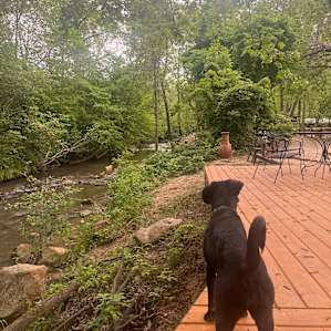 Riverfront Tent Site (Primitive)