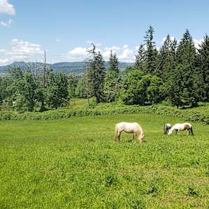 Horse and Highland Hideaway
