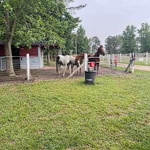 Legacy Farms Roughing It