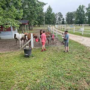 Legacy Farms Roughing It