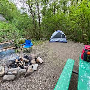 Camping in forest, next to a creek.