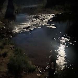 Patterson Creek Camp