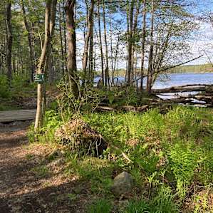 North Campsite