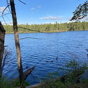 North Campsite