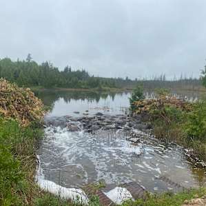 Meadow River Cabin